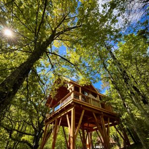 Cabane perchée en bois, entourée de verdure, sous un ciel bleu éclatant.