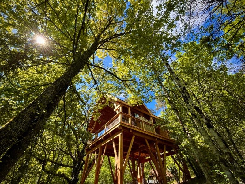 Cabane perchée en bois, entourée de verdure, sous un ciel bleu éclatant.