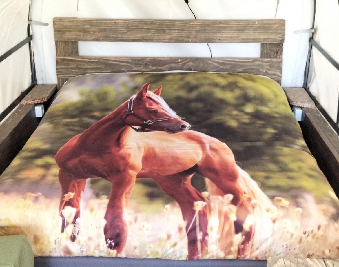 Hébergement insolite en Pays de la Loire avec un lit décoré dune couette de cheval.