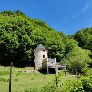 Hébergement insolite en Midi-Pyrénées : un charmant pigeonnier en pleine nature.