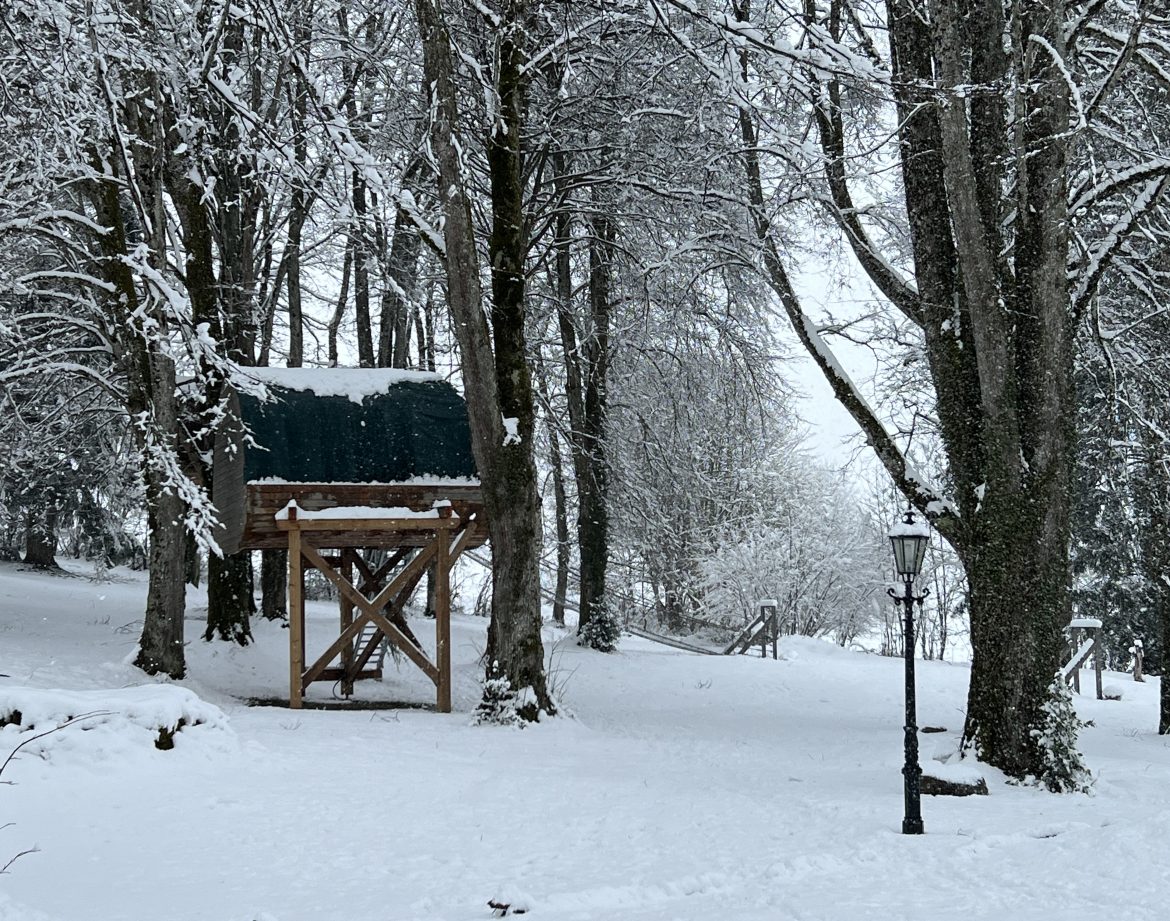 Cabane perchée en bois, entourée de neige et darbres majestueux en Auvergne.
