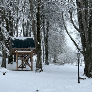 Cabane perchée en bois, entourée de neige et darbres majestueux en Auvergne.