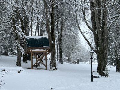 Cabane perchée en bois, entourée de neige et darbres majestueux en Auvergne.