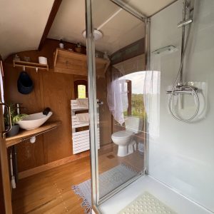 Hébergement insolite en Aquitaine : intérieur en bois avec douche moderne et vue sur la nature.