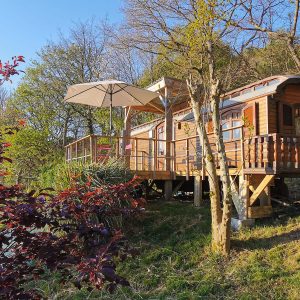 Charmant chalet en bois sur pilotis, entouré de verdure et dun parasol.