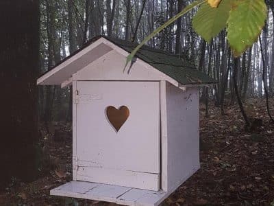 Cabane en bois avec un cœur découpé, nichée dans la forêt du Limousin.
