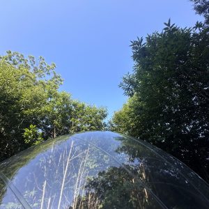 Hébergement insolite en bulle transparente, entouré de verdure et ciel bleu.