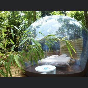 Hébergement insolite en bulle transparente, entouré de verdure luxuriante.