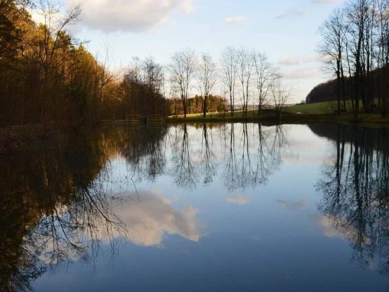 Hébergement insolite en Champagne-Ardenne, au bord dun lac paisible et entouré darbres.