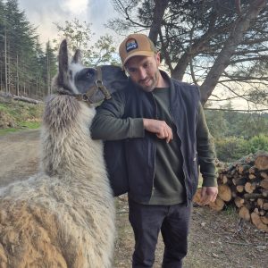Hébergement insolite : un homme câline un lama dans un cadre forestier apaisant.