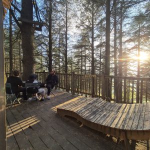 Cabane dans les arbres, terrasse en bois, vue sur la forêt et lumière du soleil couchant.