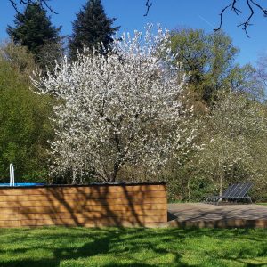 Hébergement insolite en Haute-Normandie avec piscine en bois et arbres fleuris.