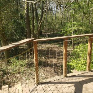 Cabane perchée en bois, entourée de verdure, offrant une vue sur la forêt.