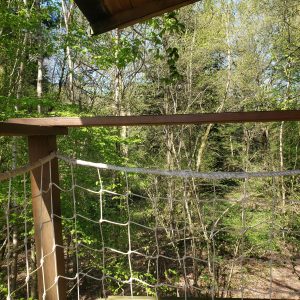 Cabane perchée en bois, vue sur la forêt verdoyante de Haute-Normandie.
