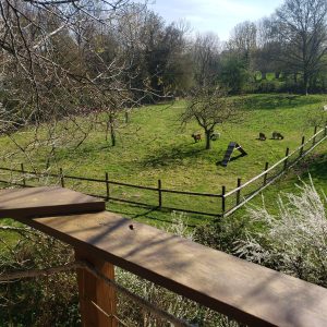 Cabane perchée en Haute-Normandie avec vue sur un pré verdoyant et des animaux.