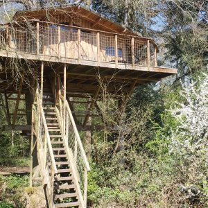 Cabane perchée en bois, entourée de verdure et darbres fleuris en Haute-Normandie.
