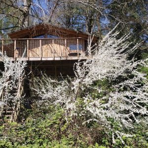 Cabane perchée en bois entourée de fleurs blanches en Haute-Normandie.