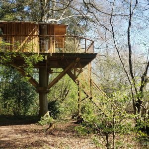 Cabane perchée dans les arbres, entourée de verdure et baignée de lumière naturelle.