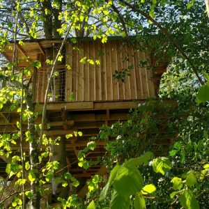 Cabane perchée dans les arbres, entourée de feuillage verdoyant en Haute-Normandie.