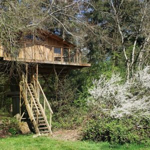 Cabane perchée en bois dans les arbres, entourée de verdure et de fleurs blanches.