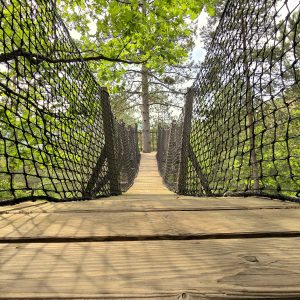 Pont suspendu en bois menant à un hébergement insolite en pleine nature.