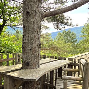 Cabane perchée dans les arbres, vue panoramique sur la nature environnante.