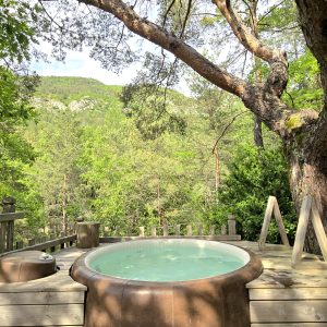 Hébergement insolite en Provence-Alpes-Côte dAzur avec jacuzzi en pleine nature.