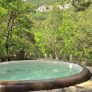 Hébergement insolite en Provence-Alpes-Côte dAzur avec jacuzzi en pleine nature verdoyante.