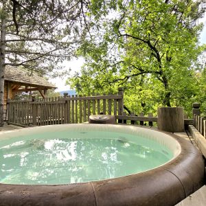 Cabane perchée en bois avec jacuzzi, entourée de verdure en Provence-Alpes-Côte dAzur.
