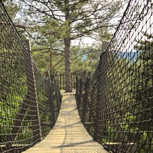 Pont suspendu menant à un hébergement insolite en pleine nature, Provence-Alpes-Côte dAzur.