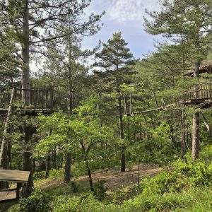 Cabane perchée dans les arbres, entourée de verdure et de pins en Provence-Alpes-Côte dAzur.