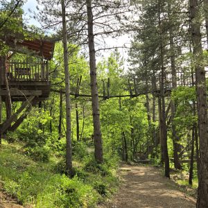 Cabane perchée dans les arbres, entourée de verdure et de sentiers forestiers.