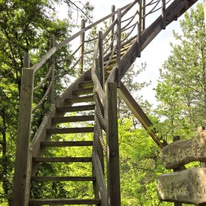 Escalier en bois menant à une cabane perchée dans les arbres en Provence-Alpes-Côte dAzur.