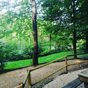 Hébergement insolite en pleine nature, entouré darbres verdoyants et paisibles.