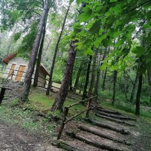 Cabane perchée en bois, entourée darbres verdoyants à Champagne-Ardennes.
