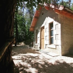 497009981_1270389415089706_1653906880991368041_n