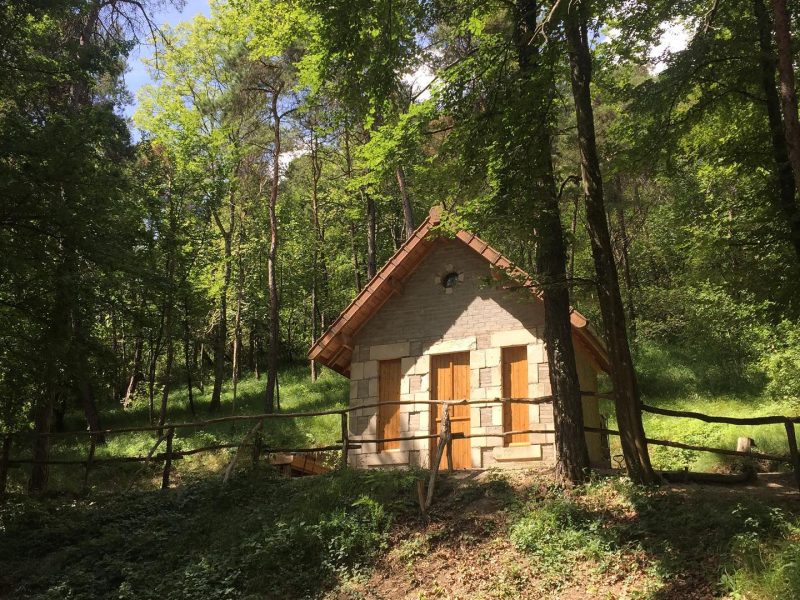 Cabane en bois nichée dans la forêt verdoyante de Champagne-Ardennes.