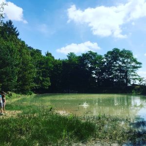 Hébergement insolite en Champagne-Ardenne, près dun étang verdoyant et boisé.