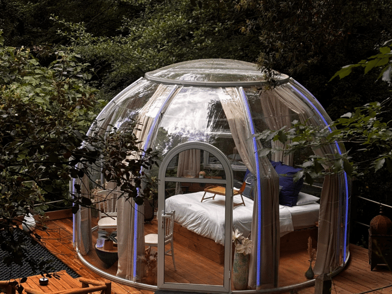 Hébergement insolite : bulle transparente en bois, entourée de verdure luxuriante.