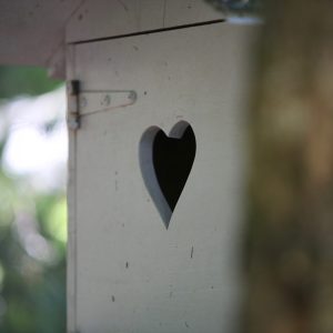 Bulle d'R _ Nuit insolite en Nouvelle Aquitaine