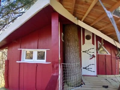 Cabane perchée en bois rouge, intégrée autour dun grand arbre, offrant une vue unique.