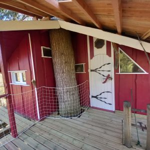 Cabane perchée en Auvergne, intégrée à un arbre, avec terrasse en bois.