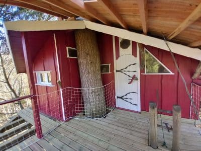 Cabane perchée en Auvergne, intégrée à un arbre, avec terrasse en bois.