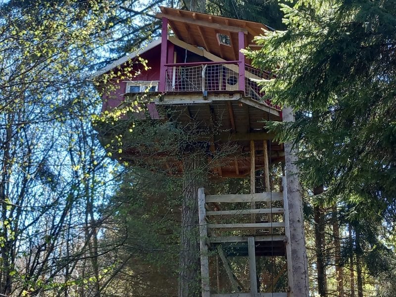 Cabane perchée en bois au cœur de la forêt dAuvergne, entourée darbres verdoyants.