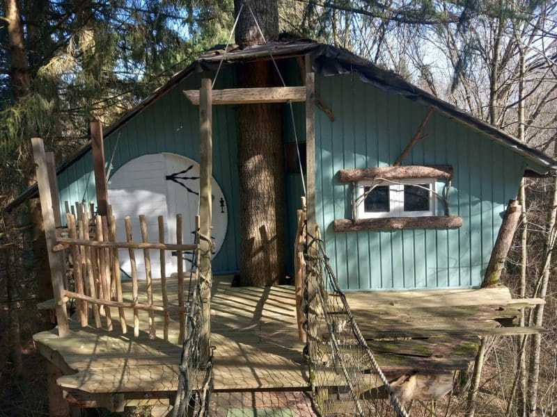 Cabane dans les arbres en Auvergne, avec un arbre traversant le mur et une terrasse en bois.