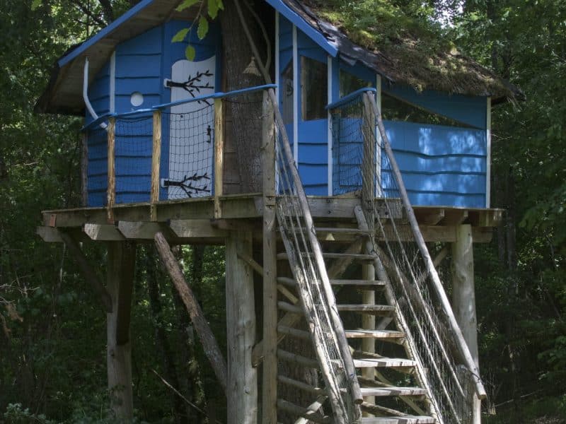 Cabane dans les arbres bleue, perchée sur pilotis, entourée de verdure luxuriante.