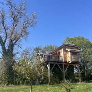 Cabane perchée en bois, entourée darbres, sous un ciel bleu éclatant.