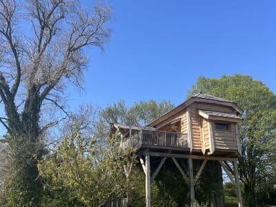 Cabane perchée en bois, entourée darbres, sous un ciel bleu éclatant.