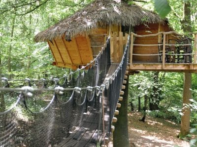 Cabane perchée dans les arbres, avec un toit de chaume et un pont suspendu en bois.