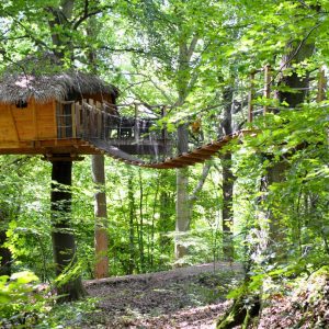 Cabane perchée dans les arbres, entourée de verdure luxuriante et de branches majestueuses.